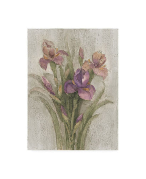 Albena Hristova Purple Iris Garden on Grey Canvas Art - 36.5" x 48"