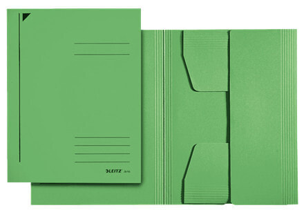 Esselte Leitz 39240055 - A4 - Cardboard - Green - Portrait - 250 sheets - 80 g/m²
