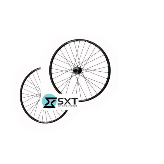 SXT Concept R 29.042 Disc 6B MTB wheel set