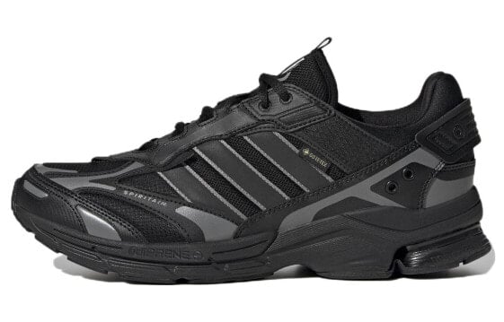 Кроссовки мужские Adidas Spiritain 2000 Gore-Tex черные