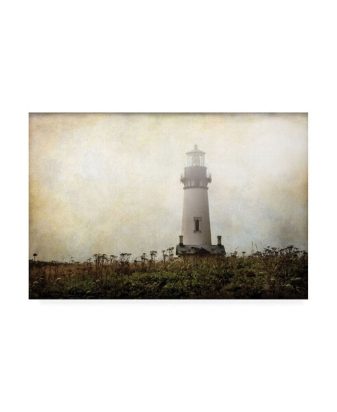 Debra Van Swearingen Lonely Lighthouse II Canvas Art - 15" x 20"