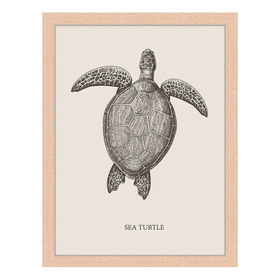 Bild Sea Turtle