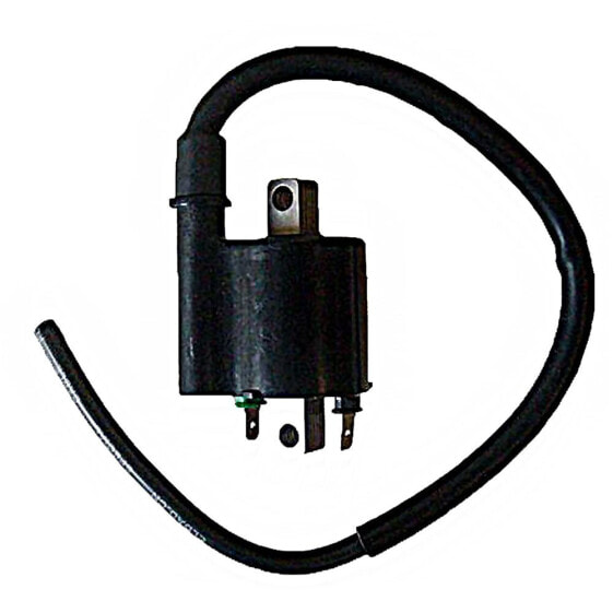 SGR 12V 3OHM 2 Fastons Wire 40cm Ignition Coil