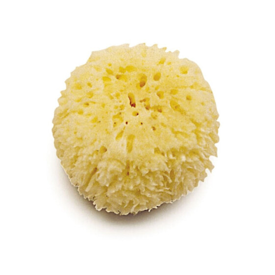 Морская губка для купания OLMITOS Natural Sponge