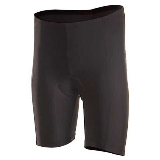 BIORACER Promo shorts