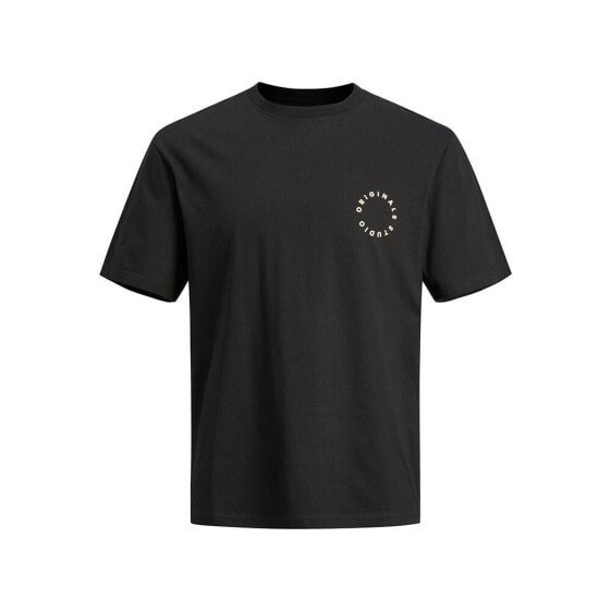 JACK & JONES Sequoia Graphic Back short sleeve T-shirt