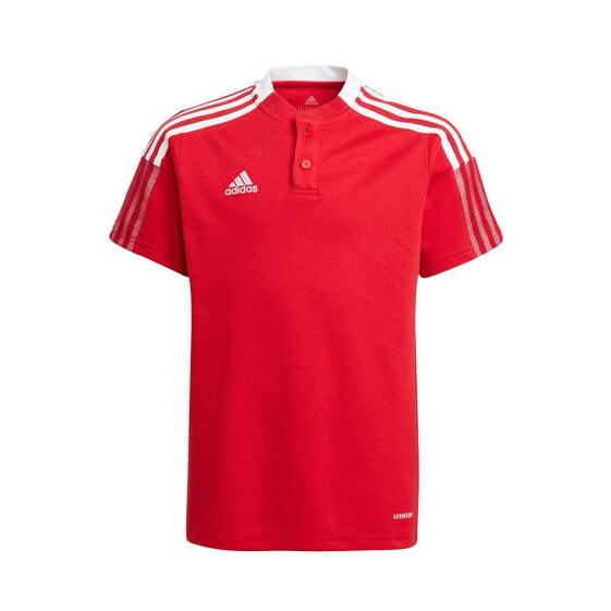 ADIDAS Tiro 21 short sleeve polo