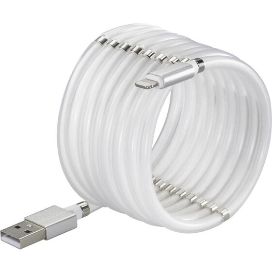 Renkforce TO-6897012, 1 m, Lightning, USB A, Male, Male, White