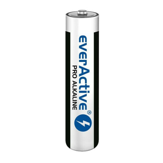 Батарейки EverActive LR03 1,5 V AAA (10 штук)
