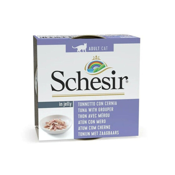 Cat food SCHESIR Fish 85 g