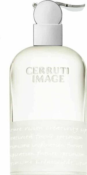 Мужская парфюмерия Cerutti 1881 Image EDT 100 мл
