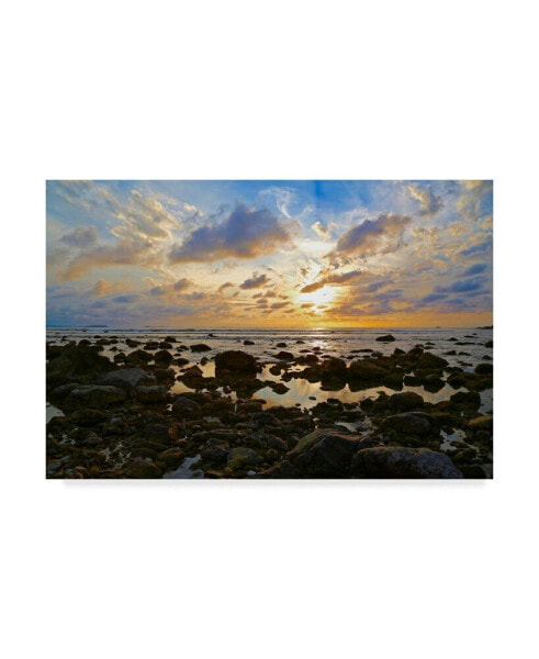 American School Punta Mita Sunset Blue Canvas Art - 37" x 49"