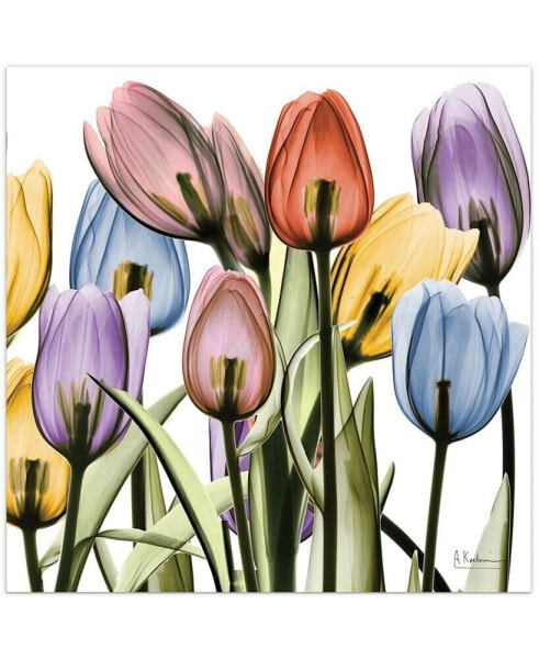 Tulip Scape x-ray II Frameless Free Floating Tempered Glass Panel Graphic Wall Art, 24" x 24" x 0.2"