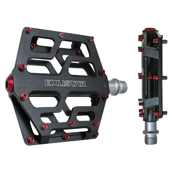 EXUSTAR E-PB531 Flat pedals