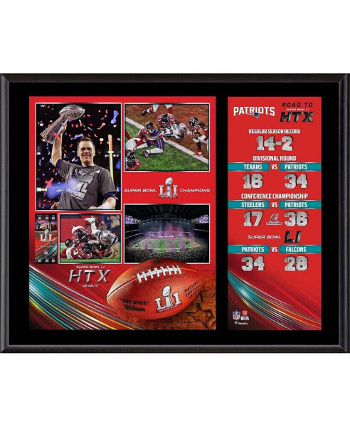 New England Patriots 12" x 15" Super Bowl LI Champions Sublimated Plaque