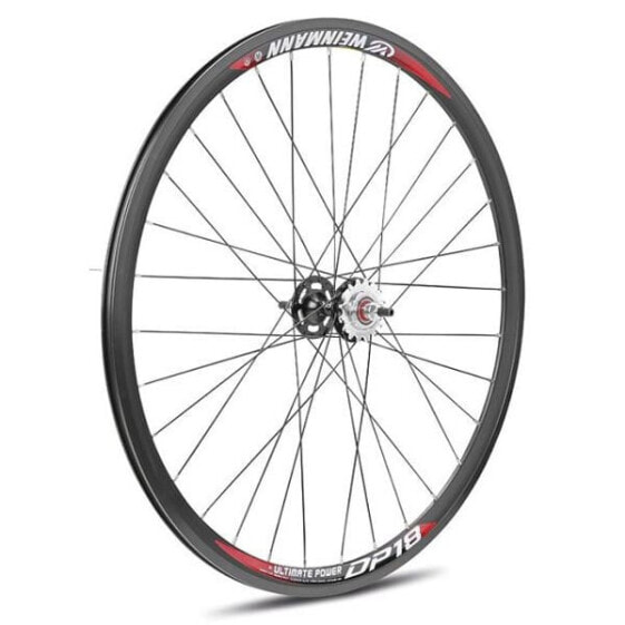 GURPIL Fixed DP-18 Balls Disc Tubular rear wheel