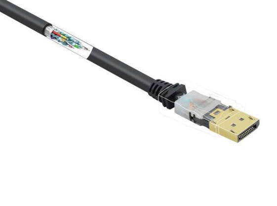 Renkforce DisplayPort Anschlusskabel[1x Stecker - 1x Stecker] 7.5 m - Digital/Display/Video - 7,5 m - 7.5 m - DisplayPort - DisplayPort - Male - Male - Gold