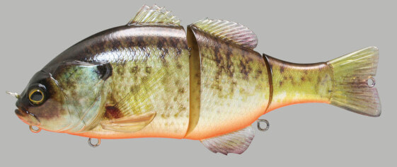 Jackall GANTAREL JR. Hard Swim Baits (JGANTJR-RTB) Fishing