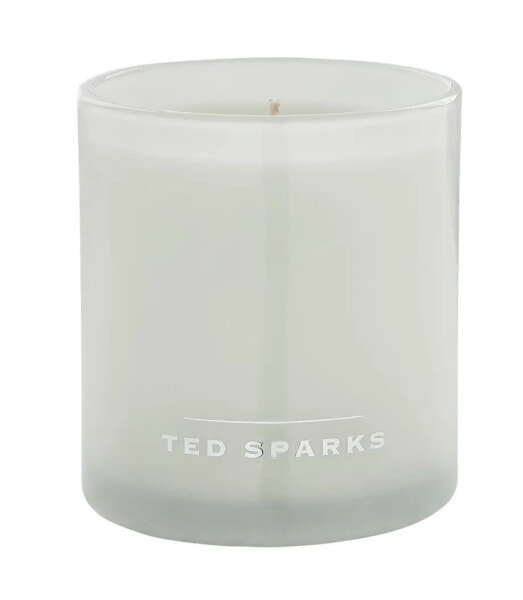 Свечи и подсвечники Ted Sparks Духи пледа "Свежее белье" - Sparks - Duftkerze Demi - Fresh Linen