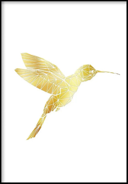 Kolibri Poster