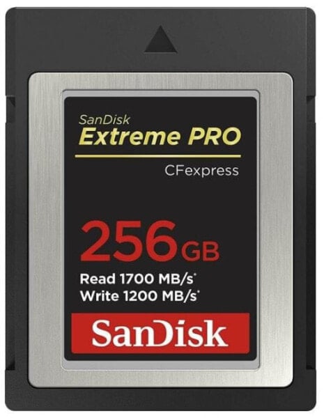 Карта памяти Sandisk CFexpress 256 ГБ Black