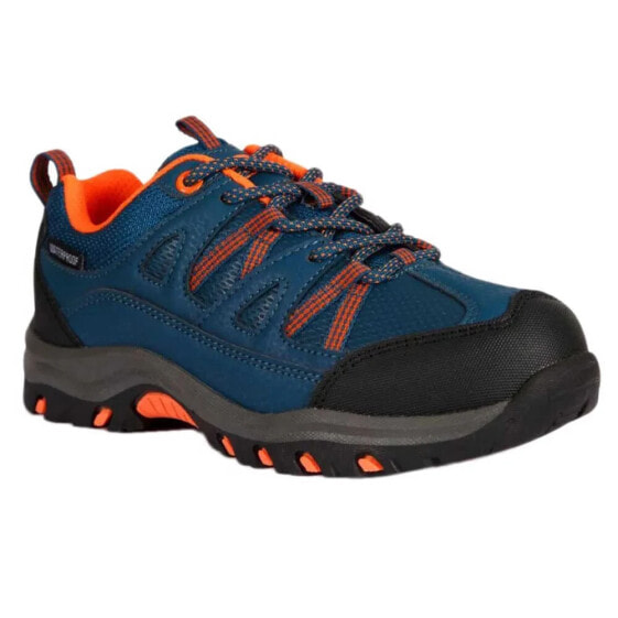 TRESPASS Gillon Low Cut II hiking shoes