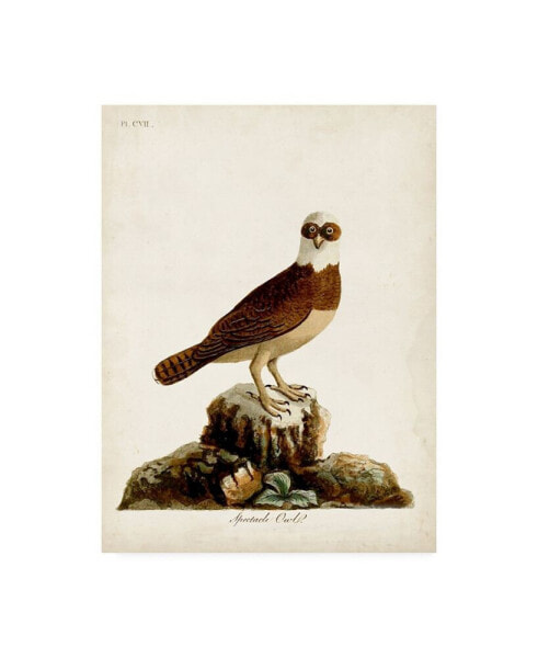 John Latham Spectacle Owl Canvas Art - 27" x 33.5"
