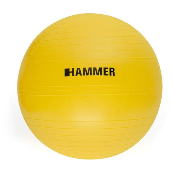 FINNLO Gym 55 cm Ball