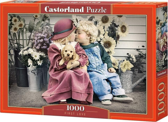 Castorland Puzzle 1000 Pierwszy Pocałunek