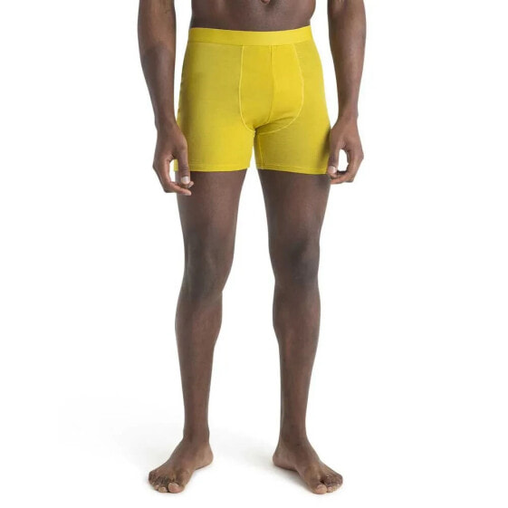 ICEBREAKER Merino Core boxers