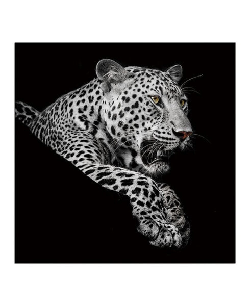Leopard In And Acrylic Wall Art (40 H X 40 W)