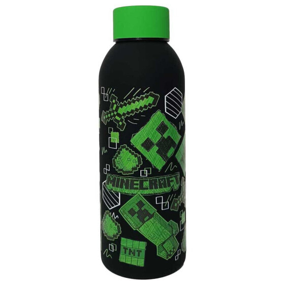 MINECRAFT Soft Stainless Steel 500ml Steel Water Bottle