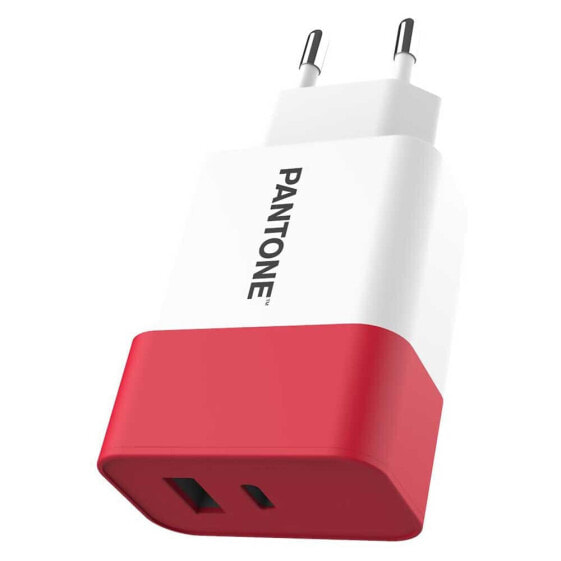 PANTONE UNIVERSE PT-PDAC02R1 USB-C And usb-c wall charger