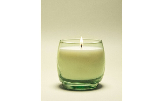 (230 g) vetiver melon scented candle