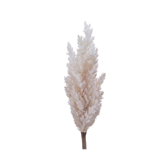 Декоративное растение Everlands Пампасная трава (Ø 9 x 90 cm)