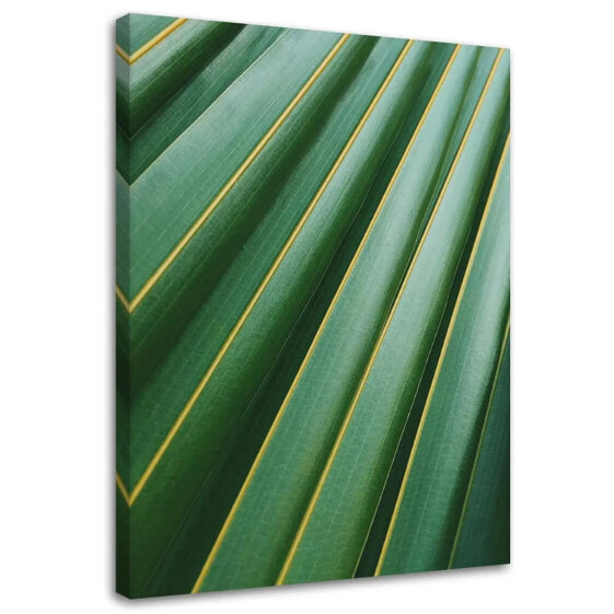 Leinwandbild Palme Blätter Pflanze Grün