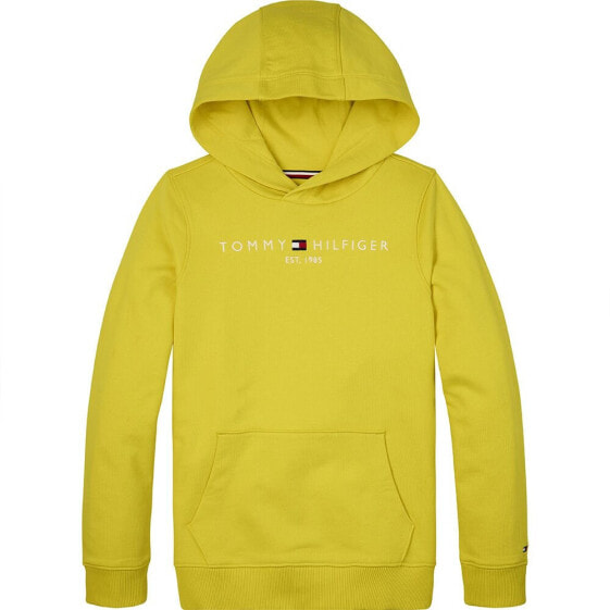 TOMMY HILFIGER Essential Cotton hoodie