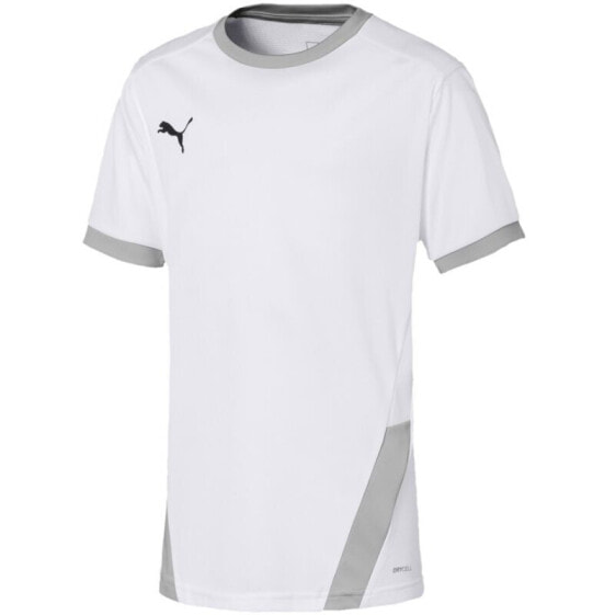 Puma teamGOAL 23 Jersey Jr T-shirt 704160 04