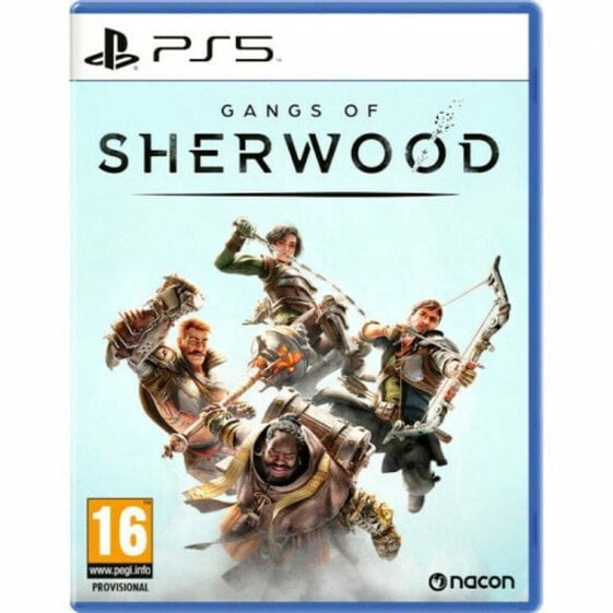 Видеоигры PlayStation 5 Nacon Gangs of Sherwood (ES) для PlayStation 5