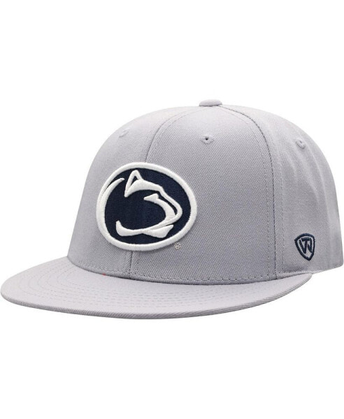 Men's Gray Penn State Nittany Lions Fitted Hat