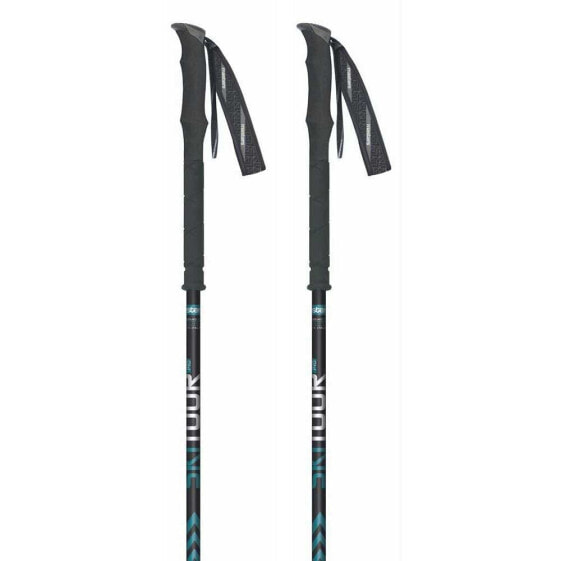 MASTERS Skitour Pro Poles