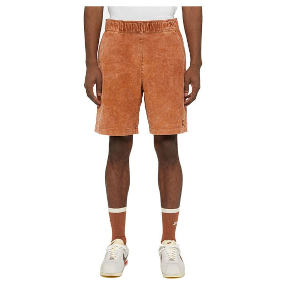 DICKIES Chase City shorts