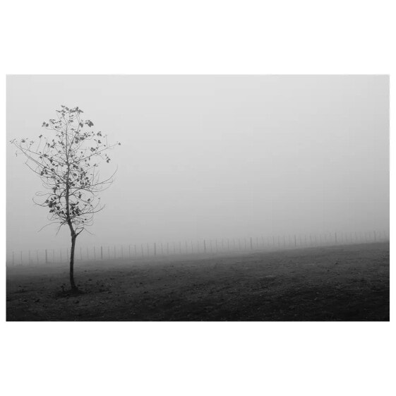 Leinwandbild Der Nebel