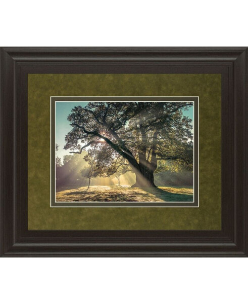 Breaking Through by A. Frank Framed Print Wall Art, 34" x 40"