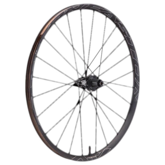 EASTON EA90 AX rear wheel