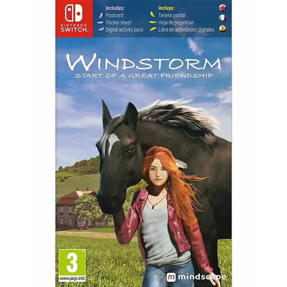 NINTENDO GAMES Switch Windstorm Start of a Great Friendship Code in box