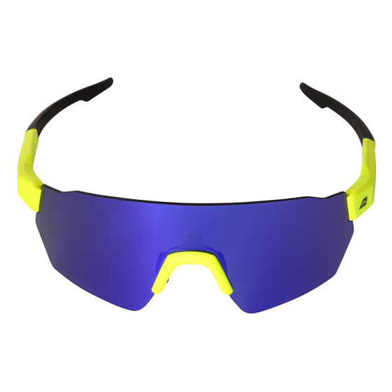 ALPINE PRO Rodene sunglasses