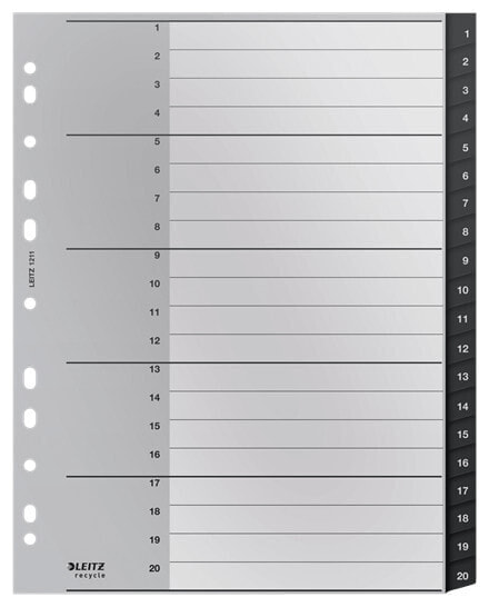 Esselte Leitz 12110000 - Blank tab index - Polypropylene (PP) - Black - White - A4 - 160 g/m² - 238 mm