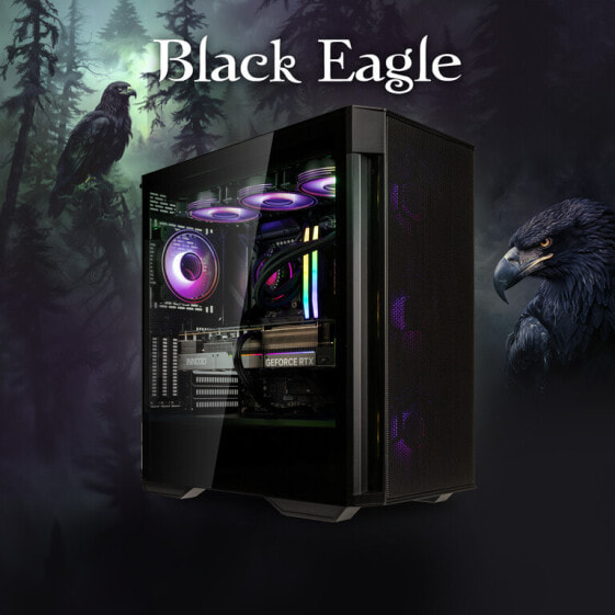 Gaming-PC Black Eagle, AMD Ryzen 7 7800X3D, NVIDIA GeForce RTX 4080 - Fertig-PC