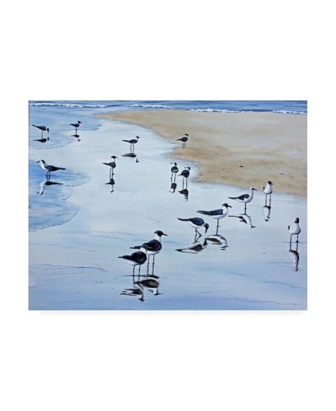 Patrick Sullivan Many Birds Canvas Art - 19.5" x 26"